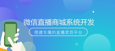 直播商城系統怎么開發？有哪些直播商城系統開發方法